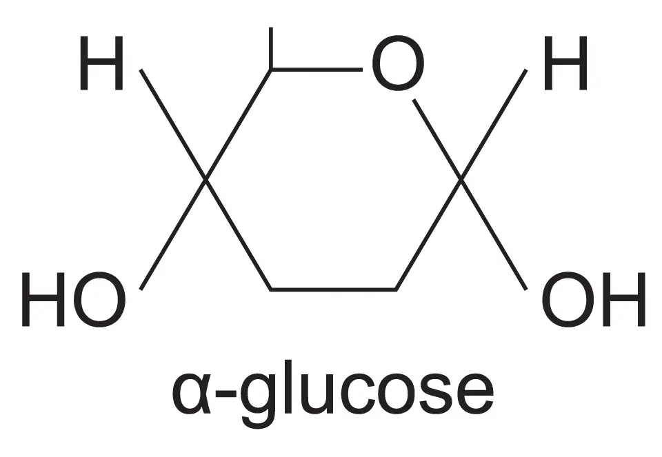 α-glucose ring structure